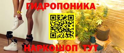 индика Беслан
