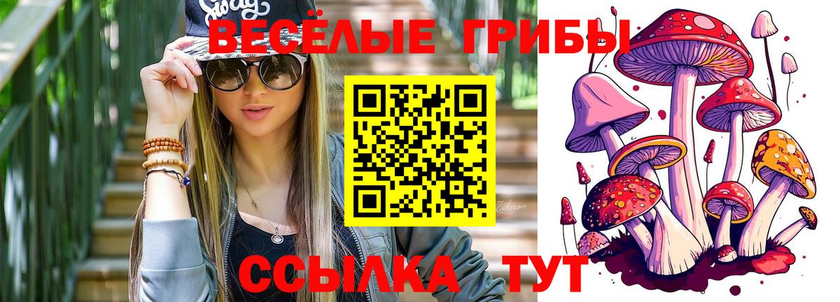 Галлюциногенные грибы Magic Shrooms  Вход с VPN  Галлюциногенные грибы ЛСД  Грязи 