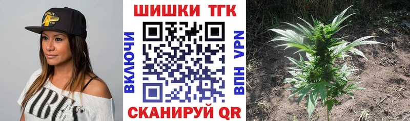 Канабис гибрид Грязи